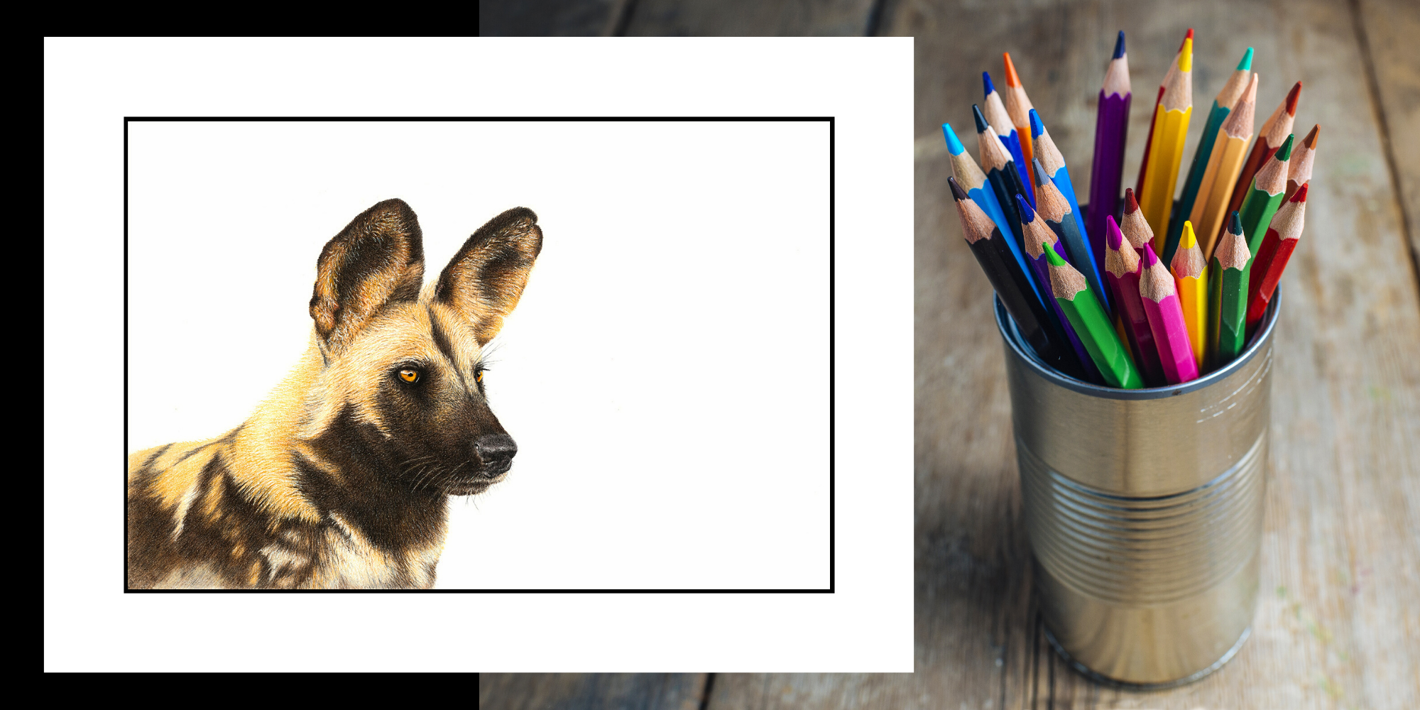 Original Examined Series - 1 - Matthew Bell Wildlife Art