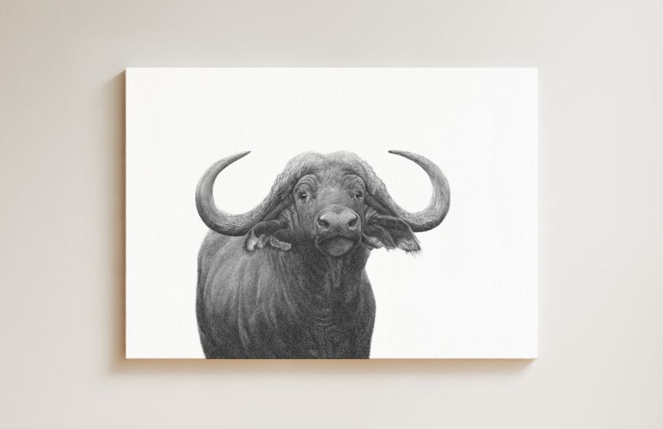 Buffalo Bull drawing on canvas by South African wildlife artist Matthew