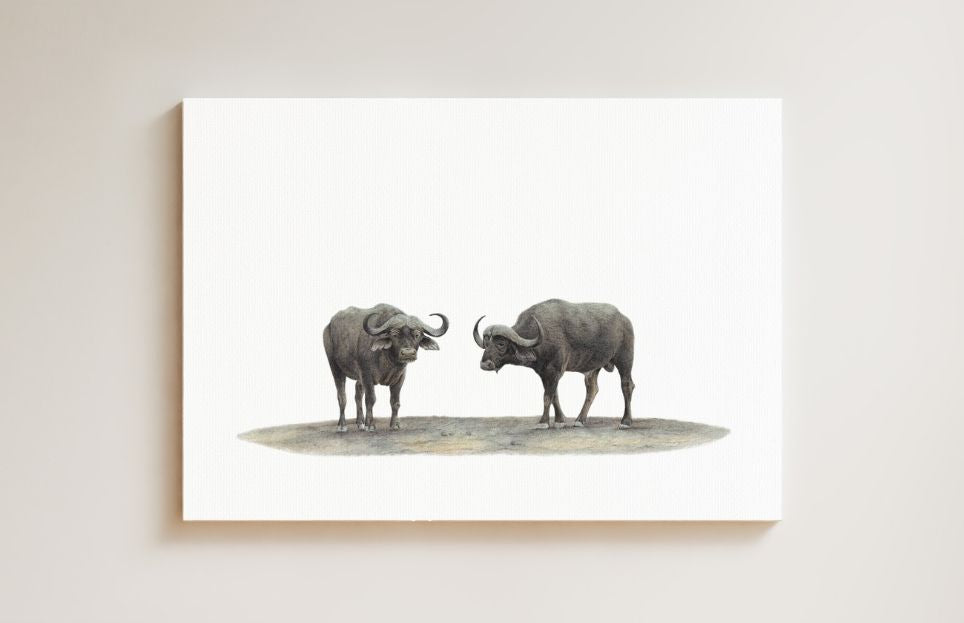 Buffaloes drawing on canvas by South African wildlife artist Matthew