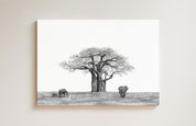 African Baobab Tree and Elephant drawing on canvas by South African wildlife artist Matthew Bell