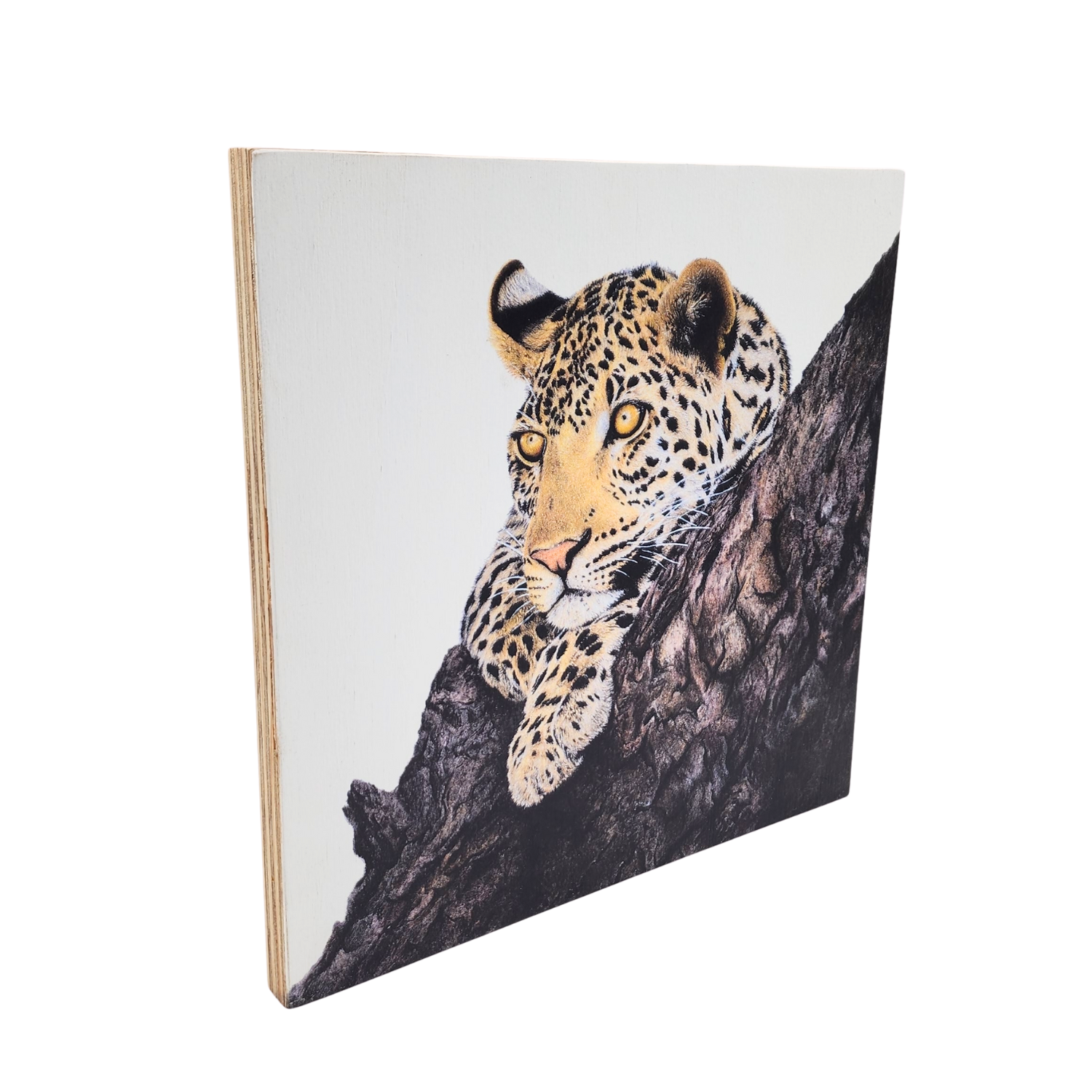 Leopard in Marula Tree Wooden Block