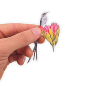 Cape Sugarbird Magnet - CPSB