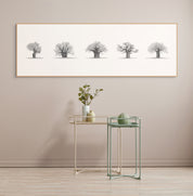5 African Baobabs - Panorama