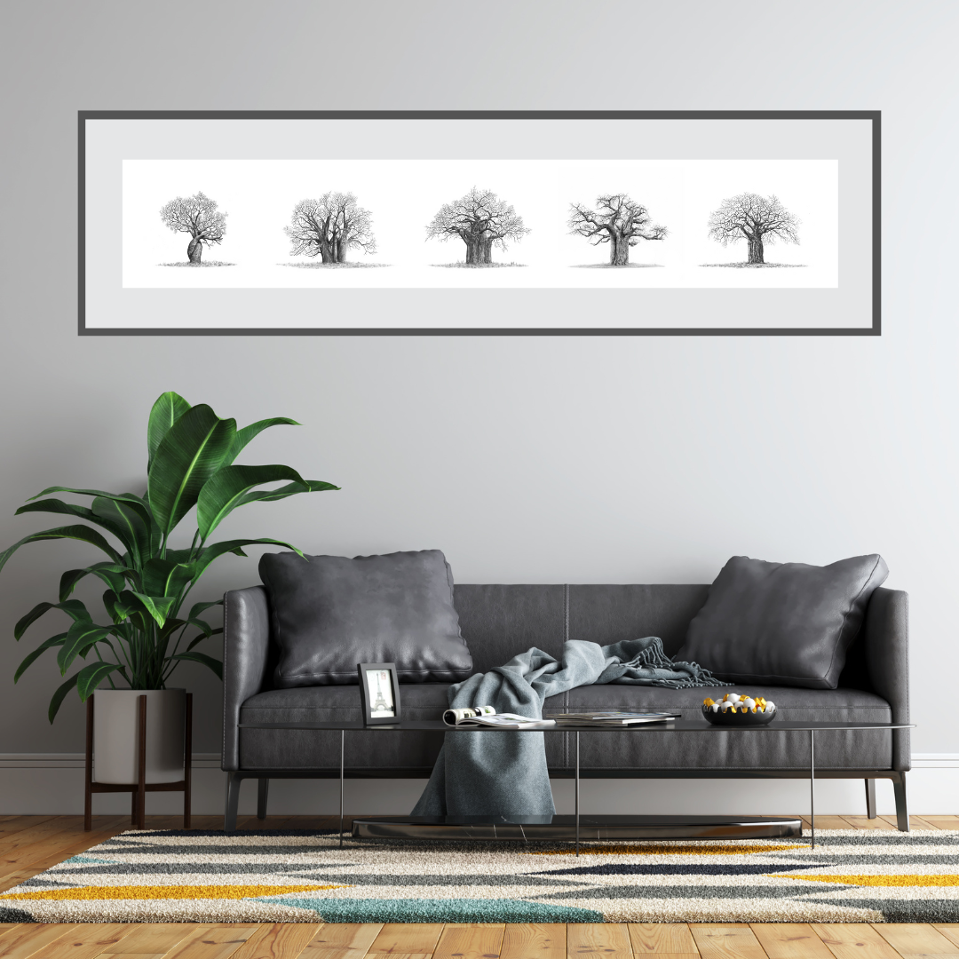 African Baobab trees poster artwork by South African botanical and wildlife artist Matthew Bell