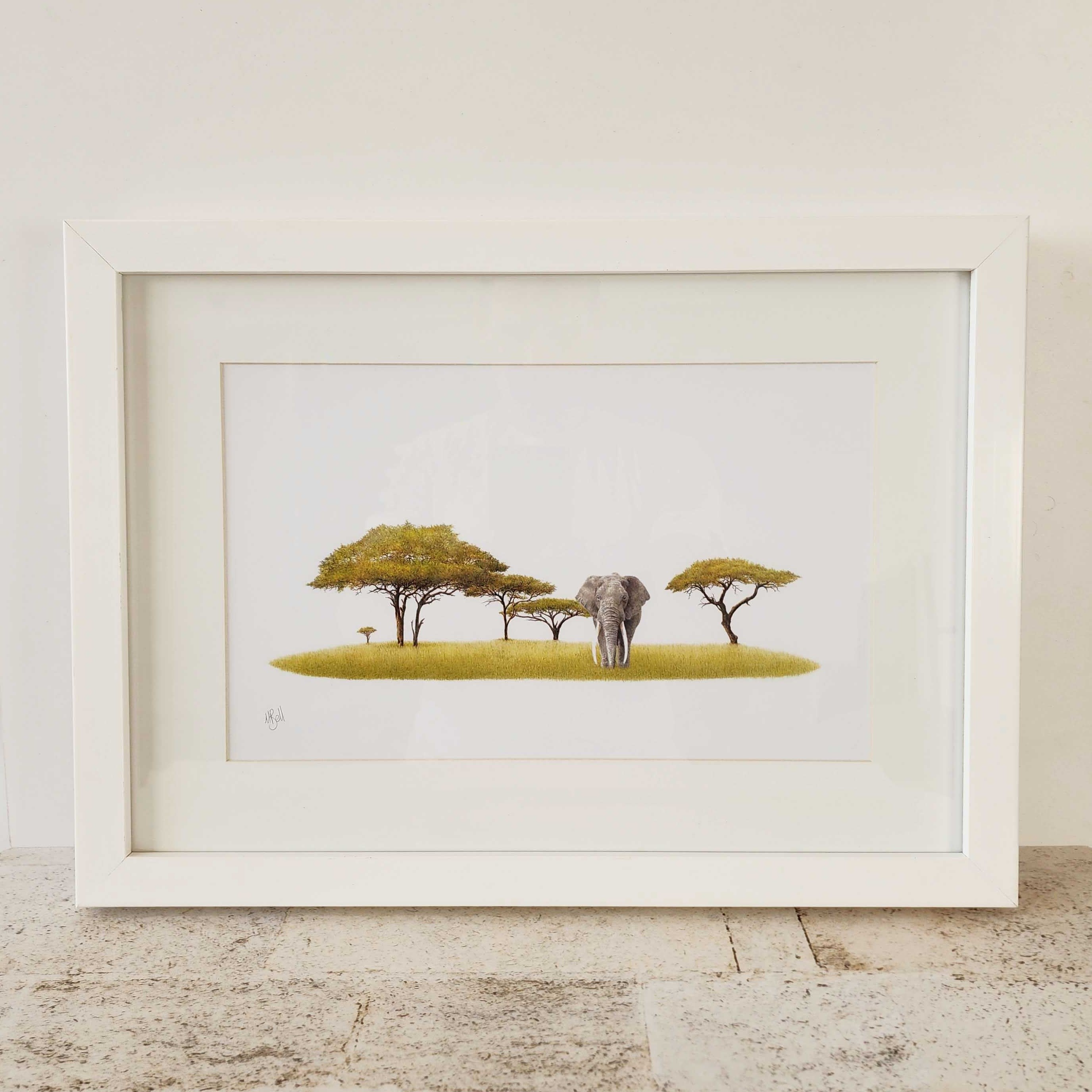 Elephant and Acacia trees pencil drawing framed print of the original by wildlife artist Matthew Bell