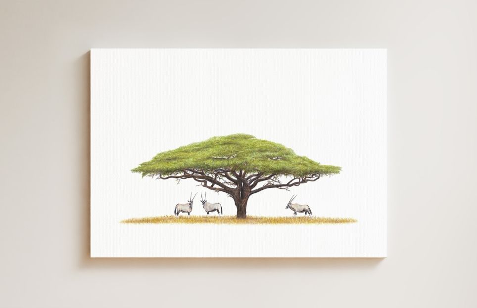 Acacia Tree and Gemsbok drawing on canvas by South African wildlife artist Matthew Bell