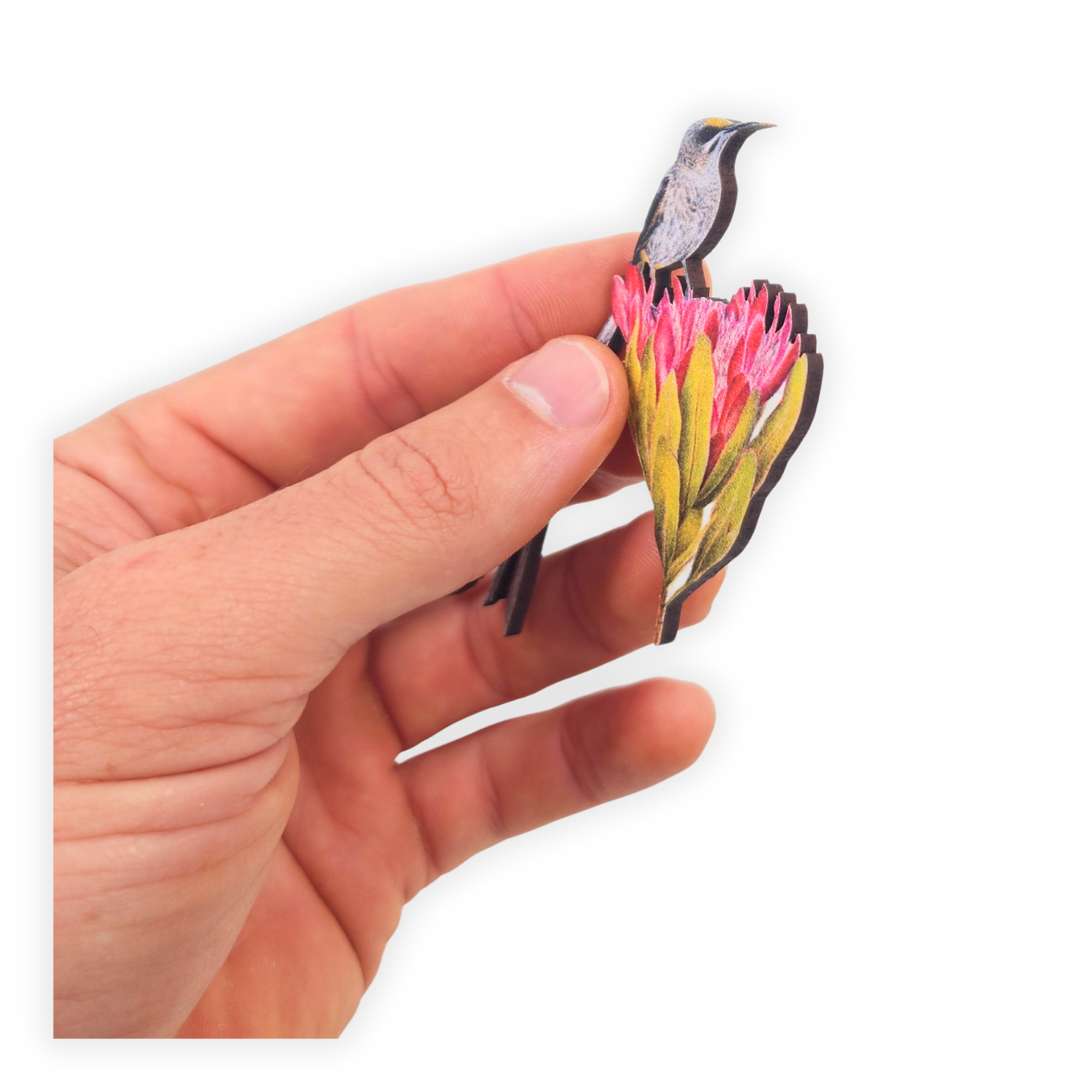 Cape Sugarbird Magnet - CPSB