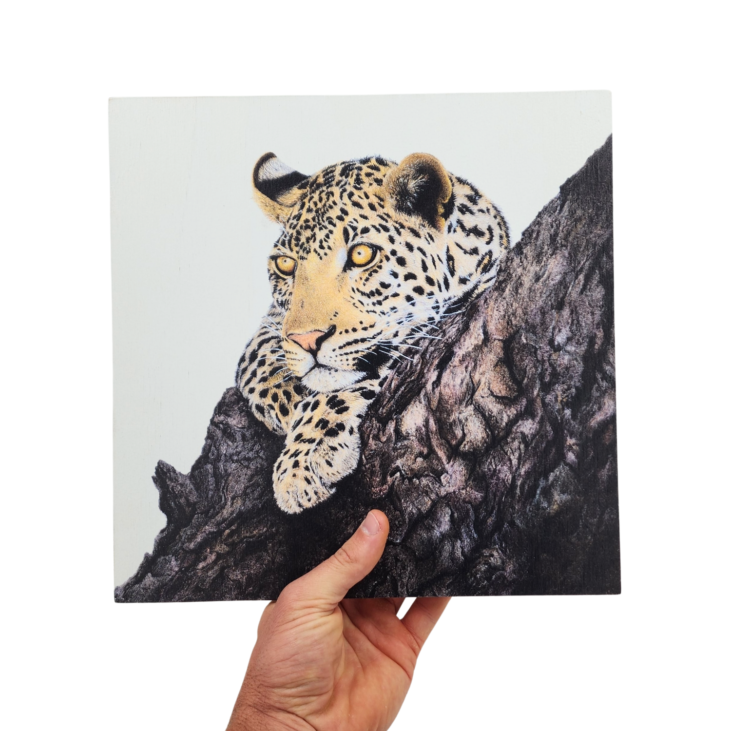 Leopard in Marula Tree Wooden Block