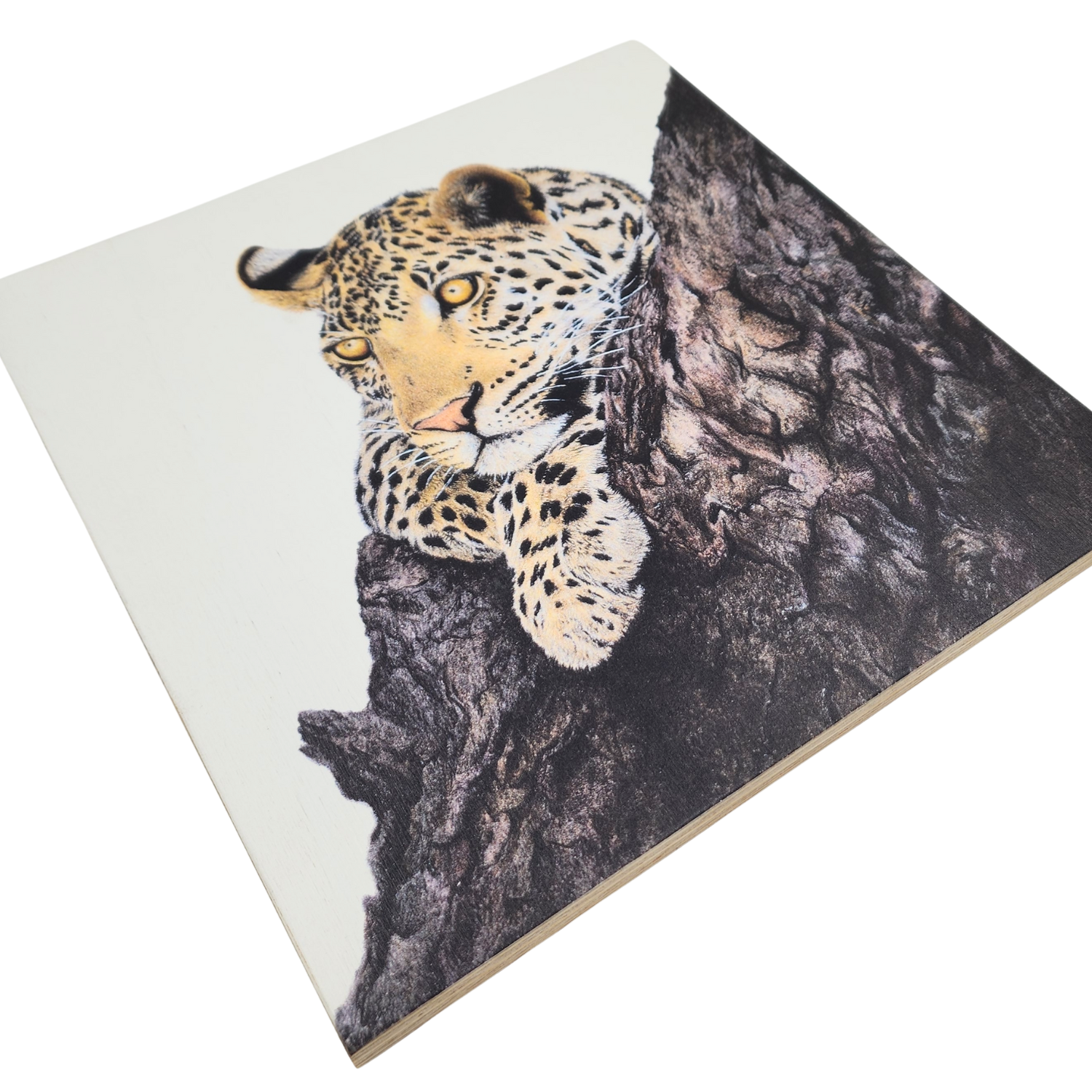 Leopard in Marula Tree Wooden Block