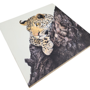 Leopard in Marula Tree Wooden Block