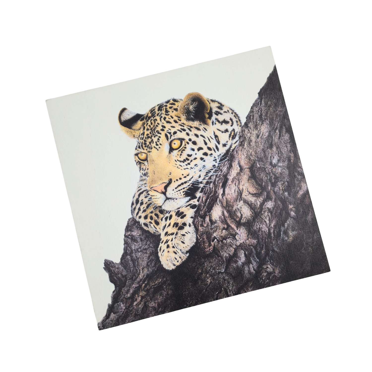 Leopard in Marula Tree Wooden Block
