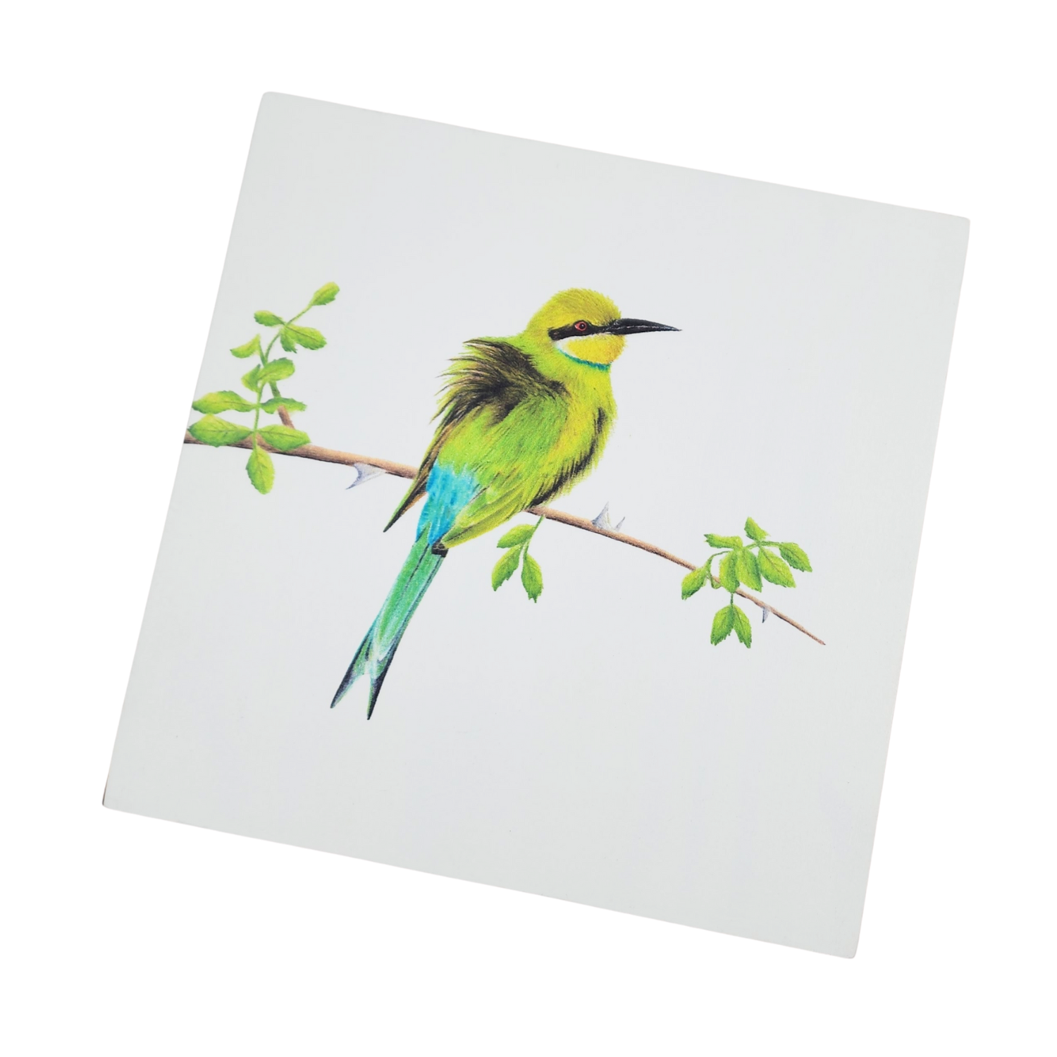 Swallow Tailed Bee Eater Wooden Block