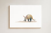Aardvark drawing on canvas by South African wildlife artist Matthew Bell