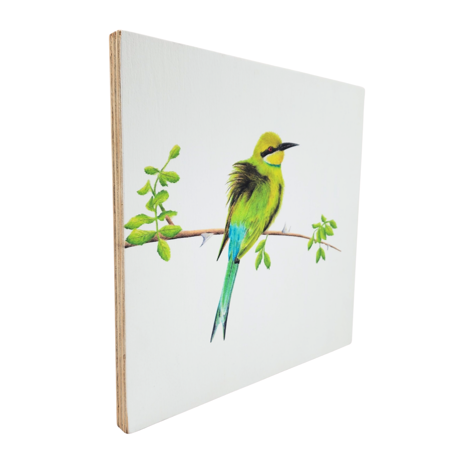 Swallow Tailed Bee Eater Wooden Block
