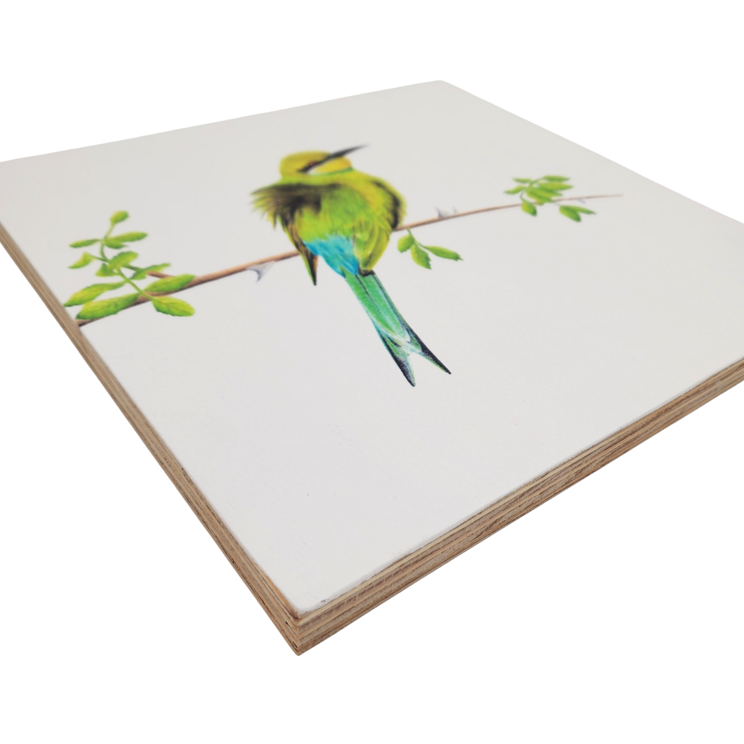 Swallow Tailed Bee Eater Wooden Block