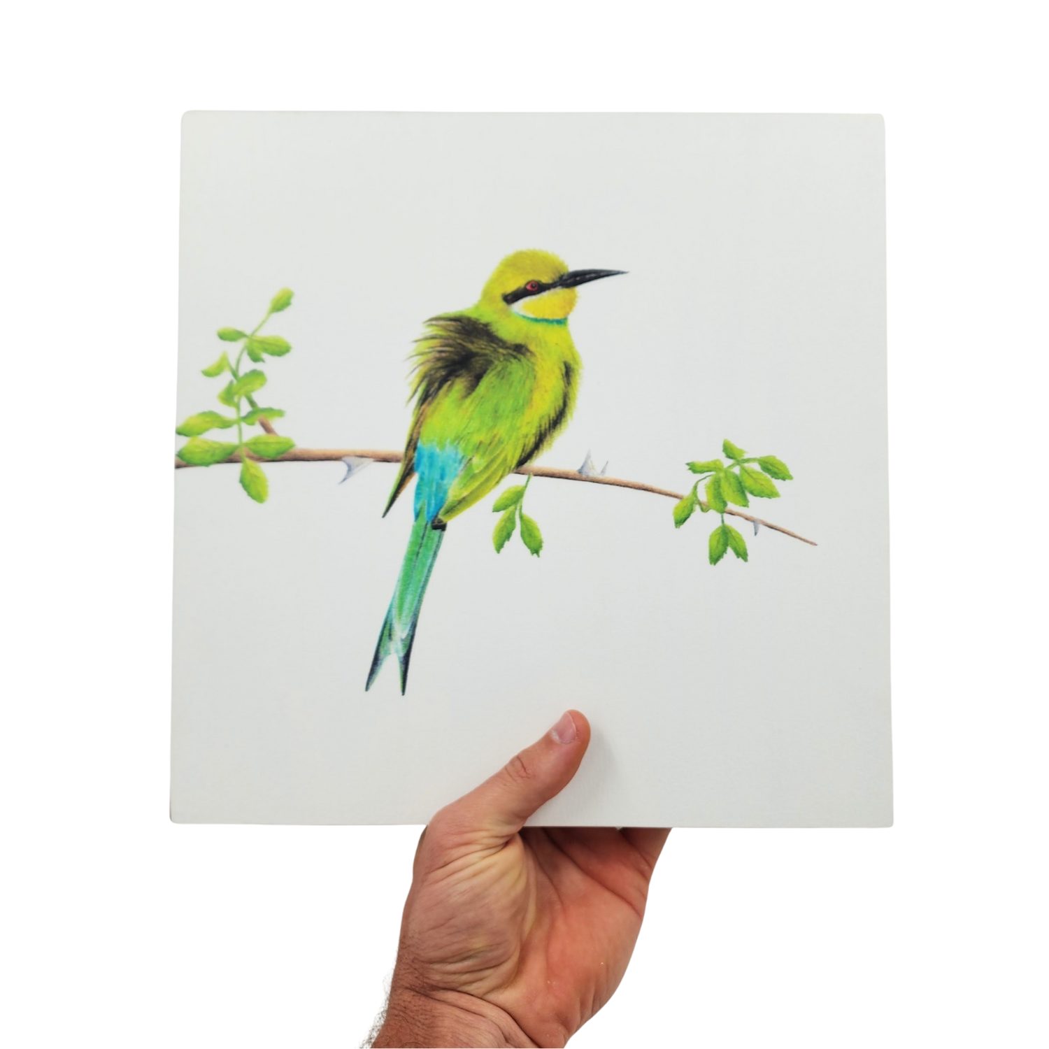 Swallow Tailed Bee Eater Wooden Block