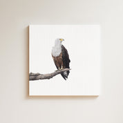 African Fish Eagle drawing on canvas by South African wildlife artist Matthew Bell