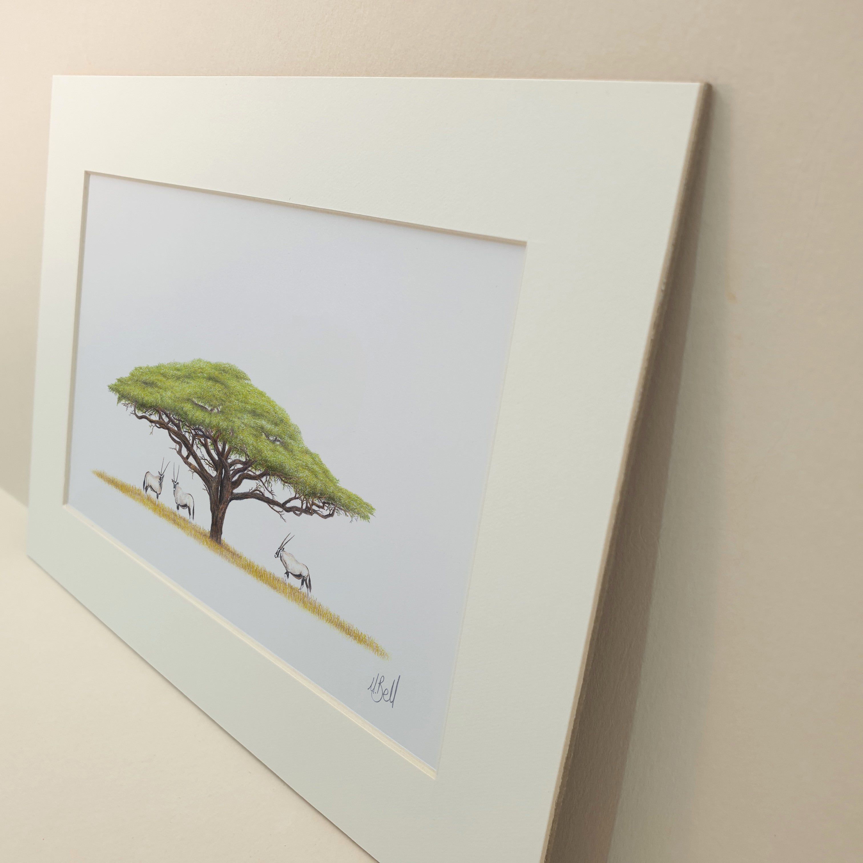 Acacia Tree with Gemsbok