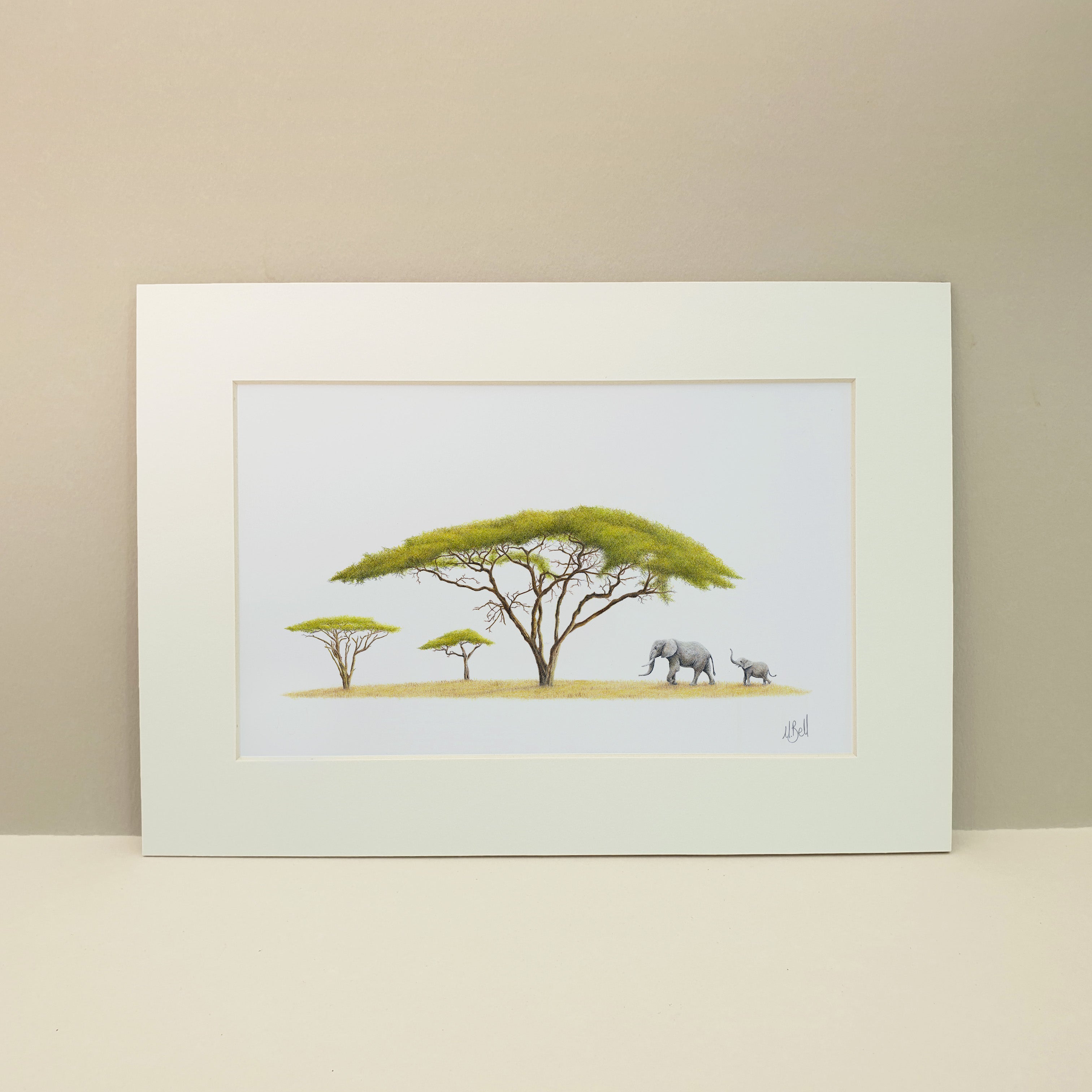 Elephants under acacia tree print