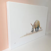 Aardvark African wildlife canvas art print