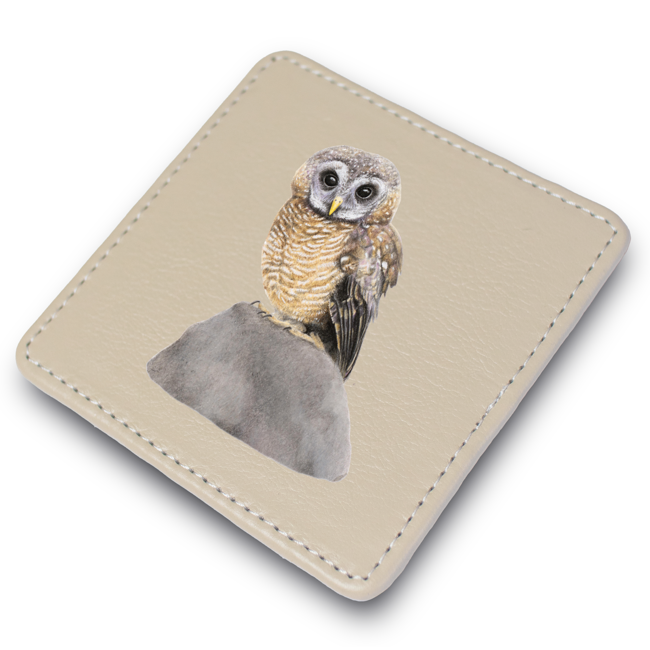African Wood Owl Leather Coaster