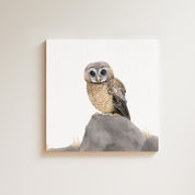 African Wood Owl drawing on canvas by South African wildlife artist Matthew Bell
