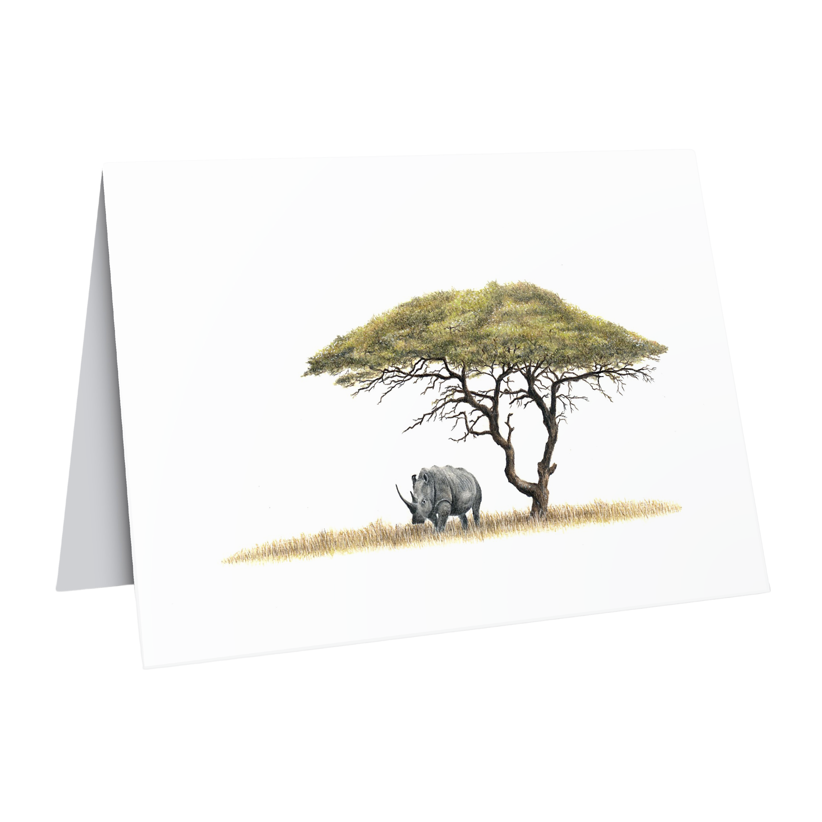 Acacia tree and white rhino wildlife art greeting card by Matthew Bell