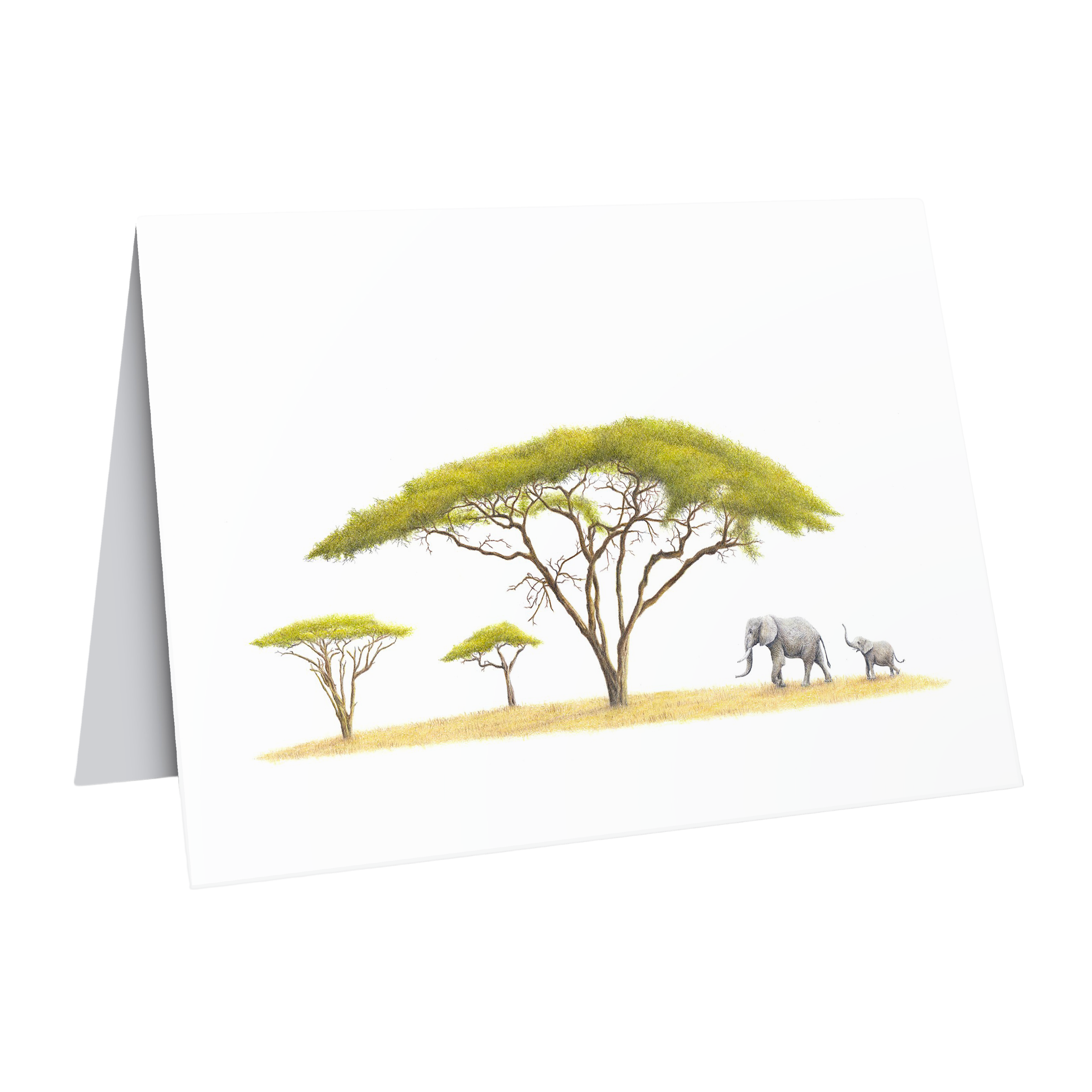 Acacia tree and elephants gift card by wildlife artist Matthew Bell
