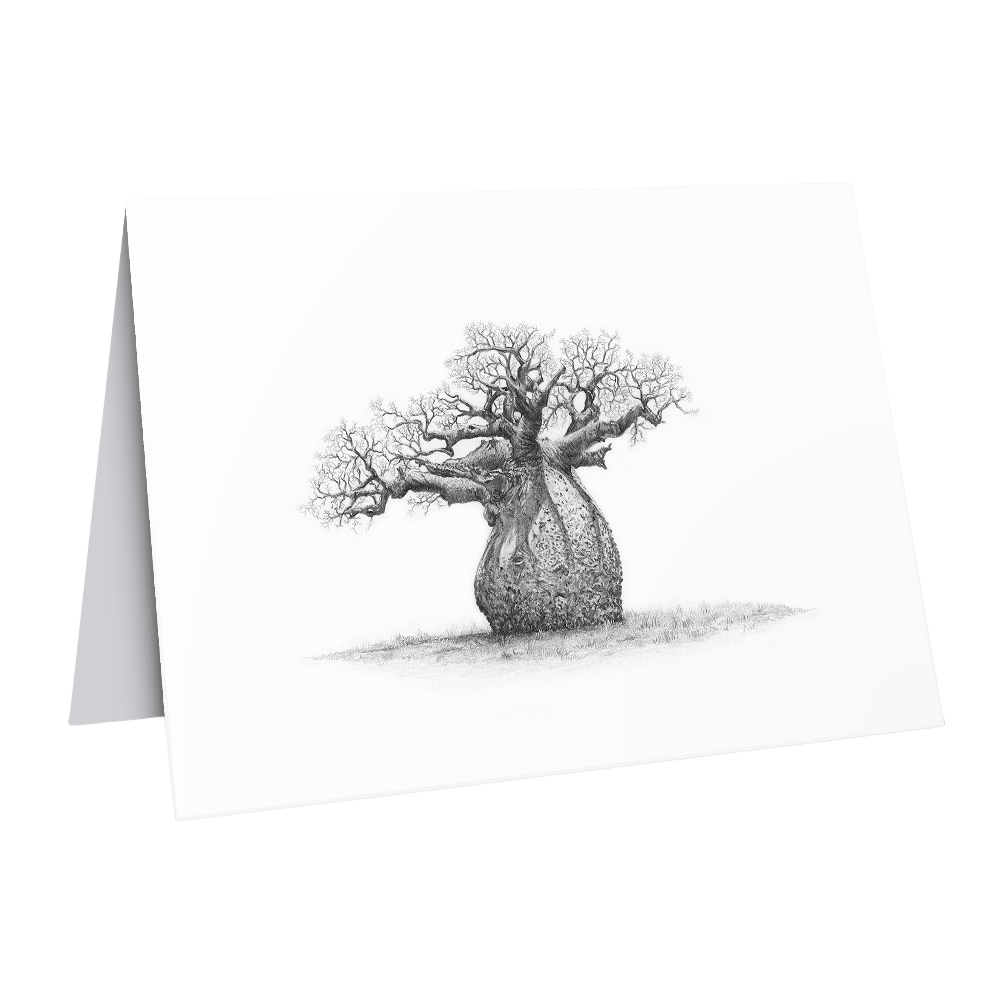 African baobab tree nature art by Matthew Bell gift card