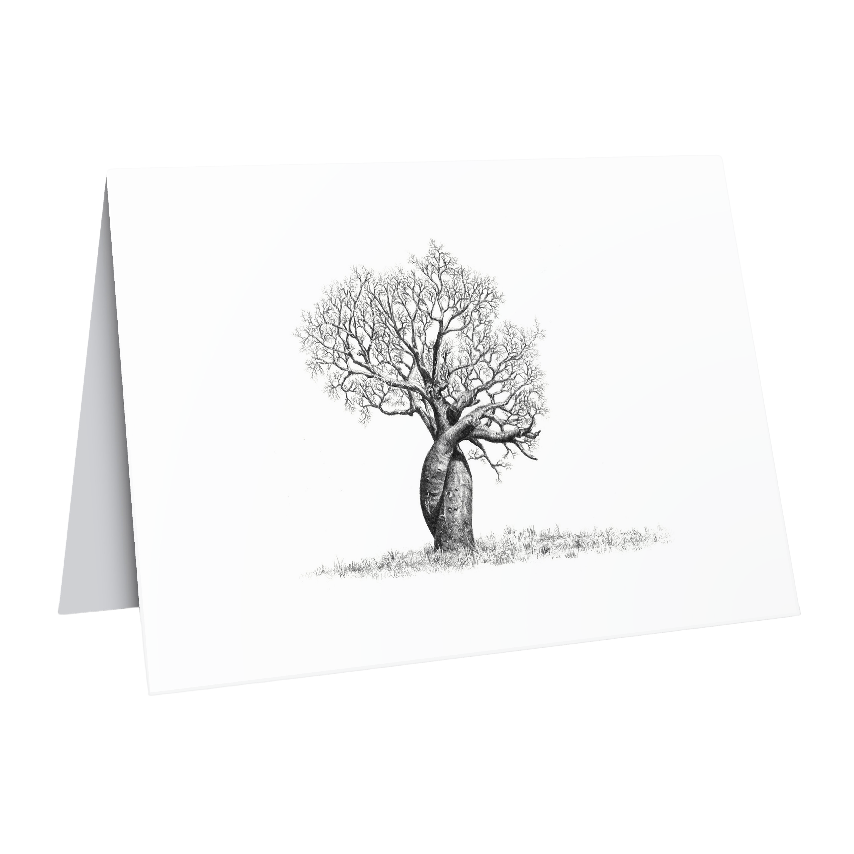 Baobab tree nature art gift card