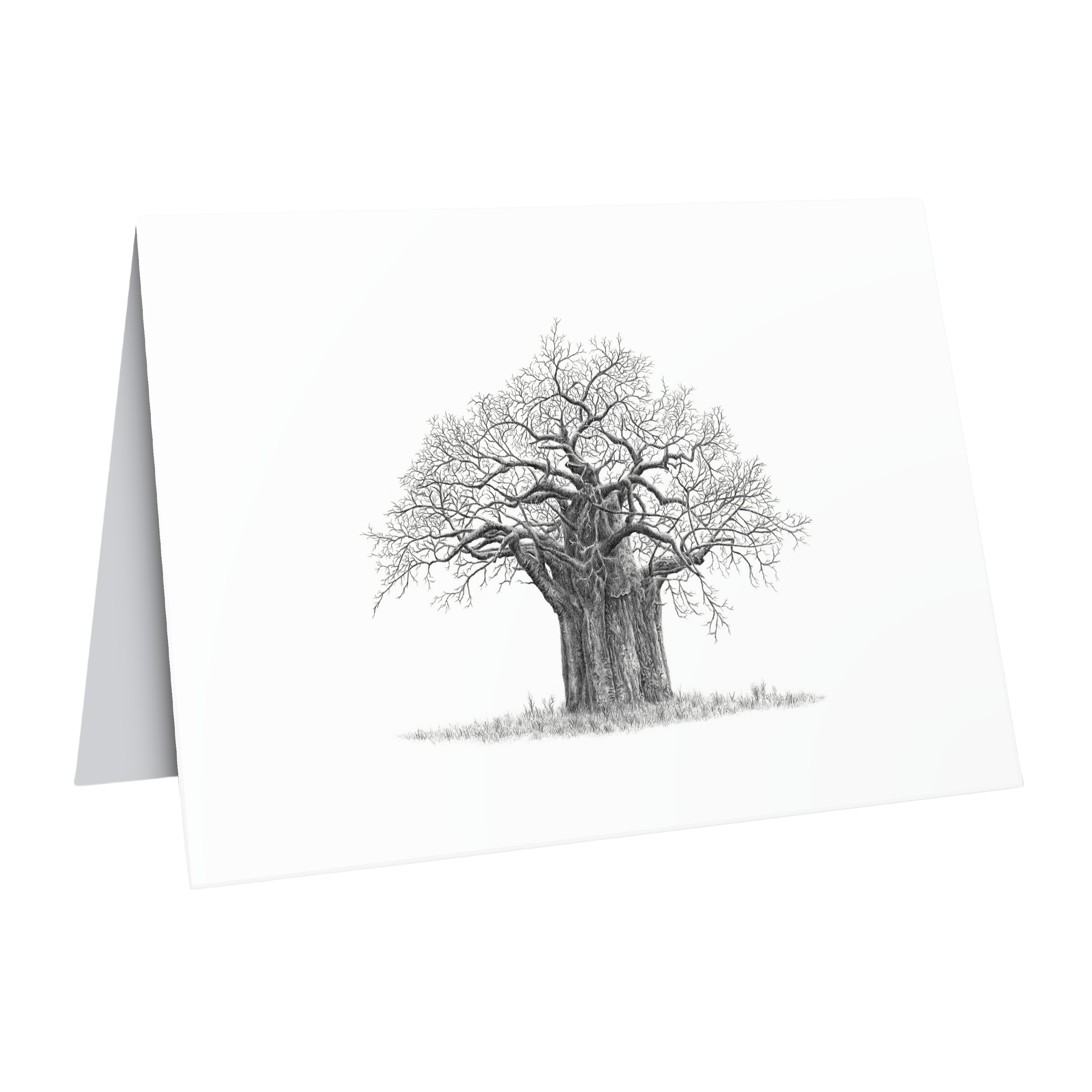 African Baobab Tree wildlife art greeting card
