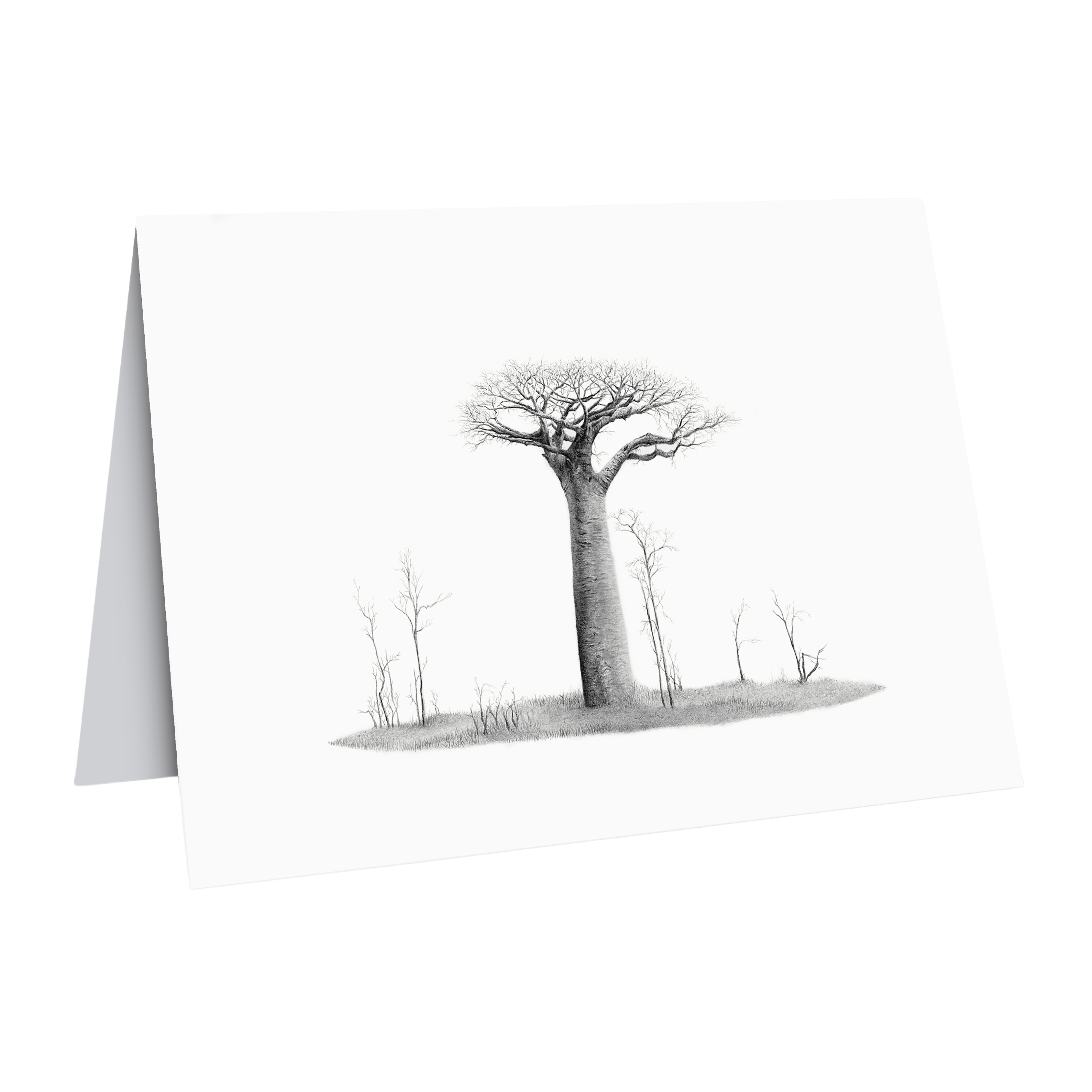 African Baobab Tree Gift Card wildlife art Matthew Bell