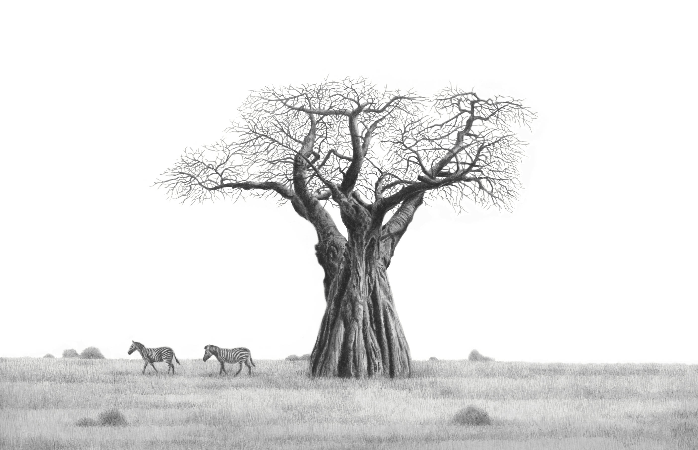 Baobab tree and zebras artwork on canvas