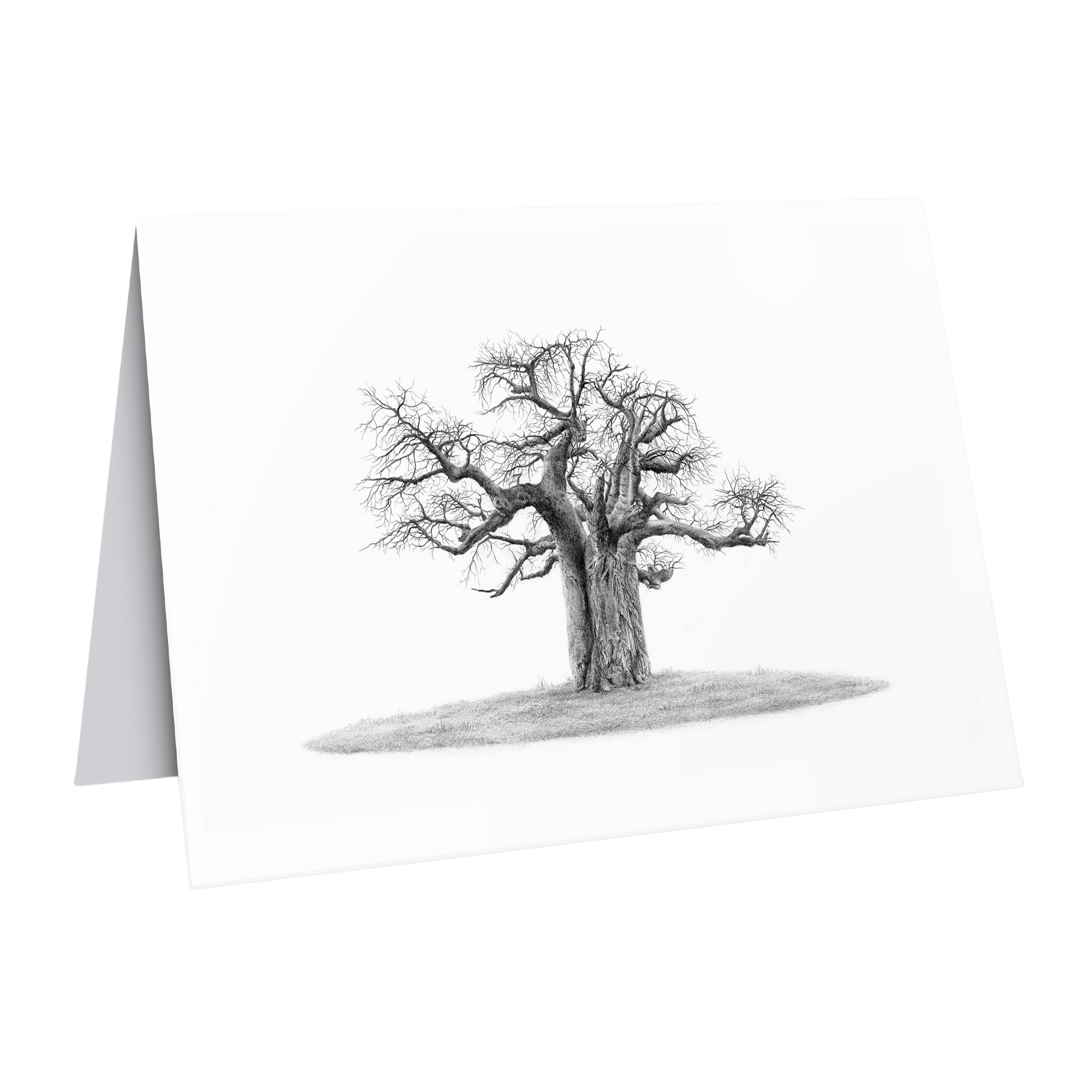 Baobab tree greeting card wildlife art by Matthew Bell