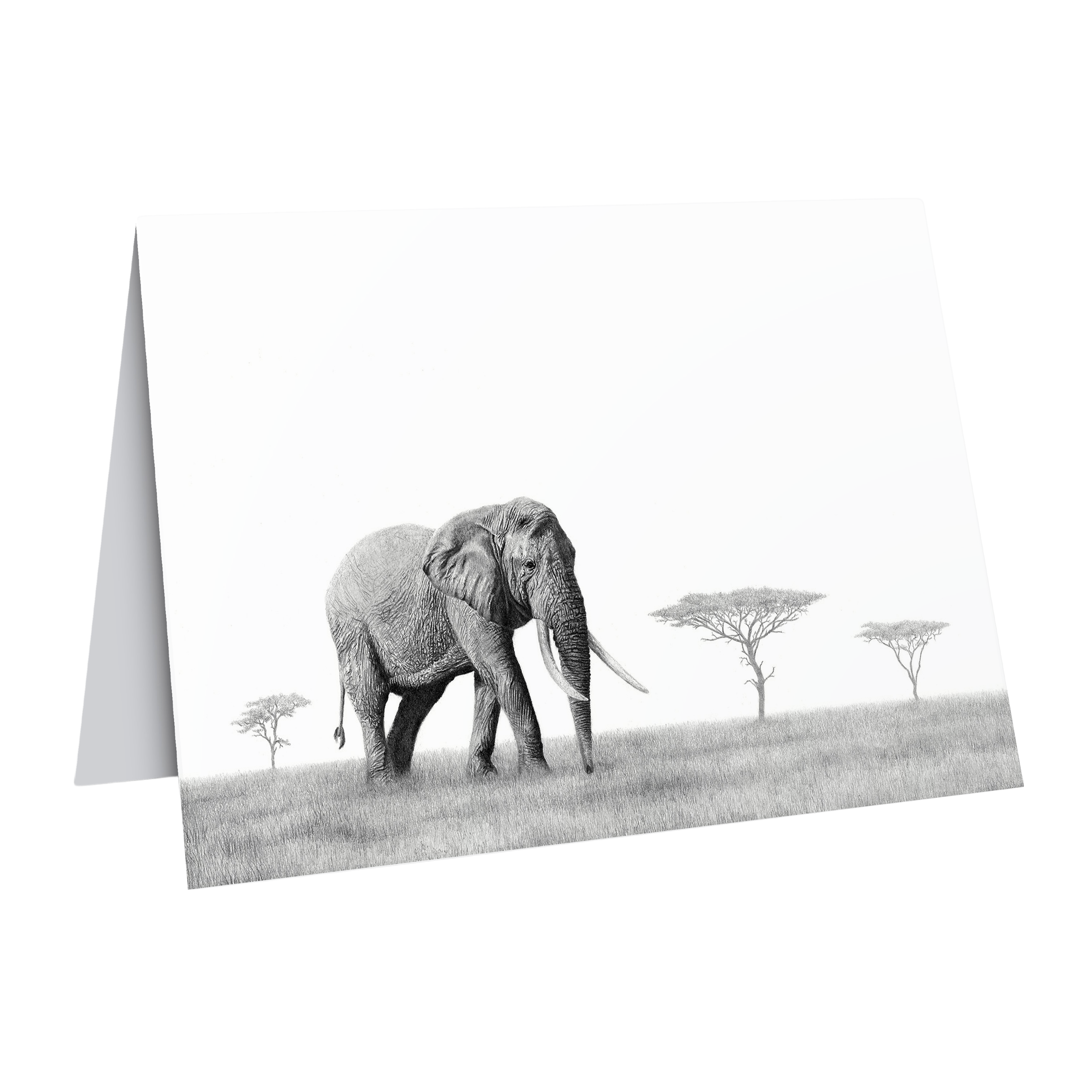 Elephant wildlife art greeting card by artist Matthew Bell