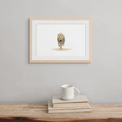 Cheetah cub pencil artwork by Matthew Bell
