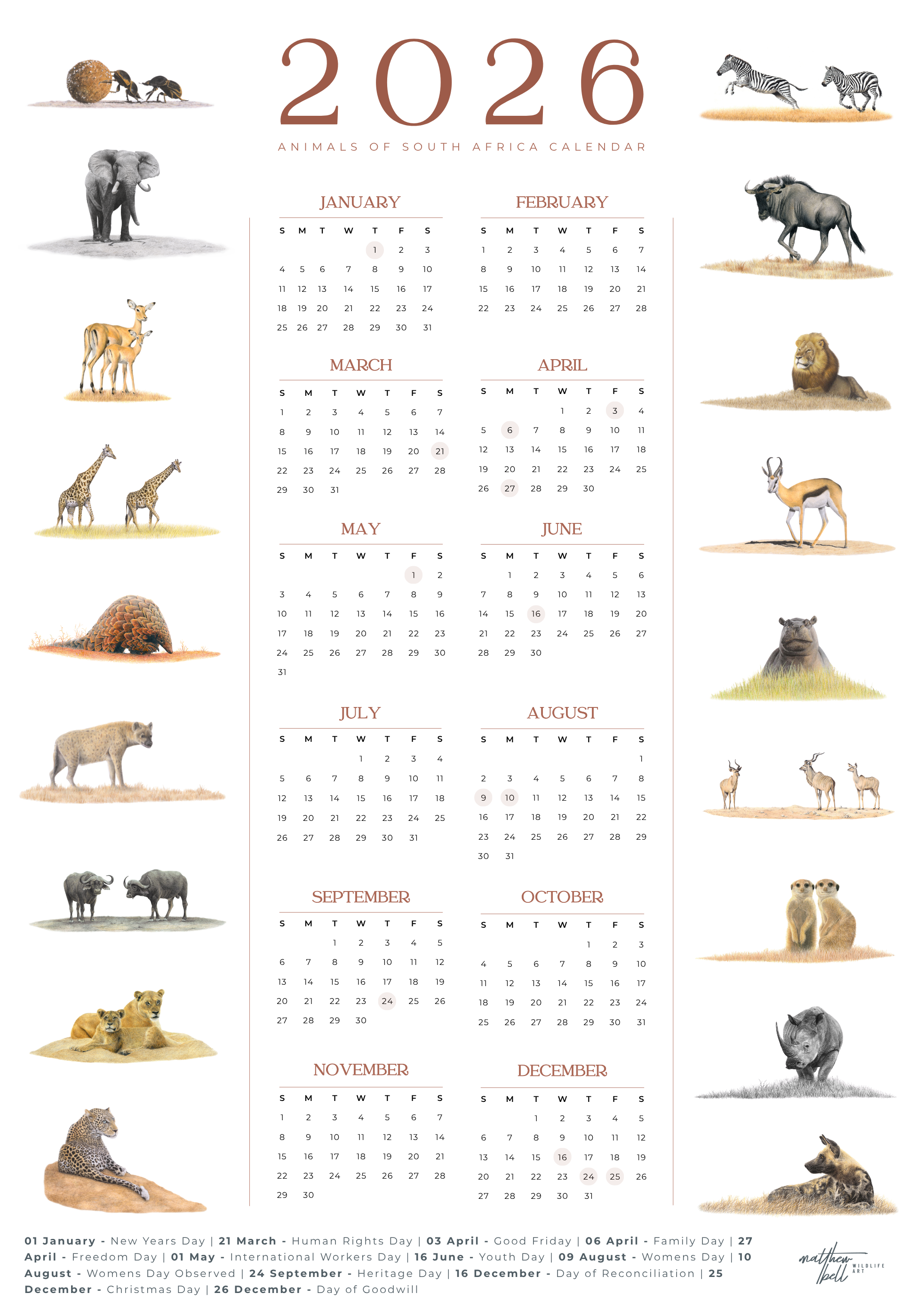 2026 wildlife calendar with illustrations of South African safari animals on a white background
