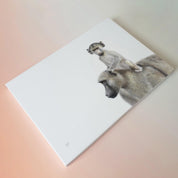 Mother and baby baboons in Kruger National Park wildlife art print on canvas