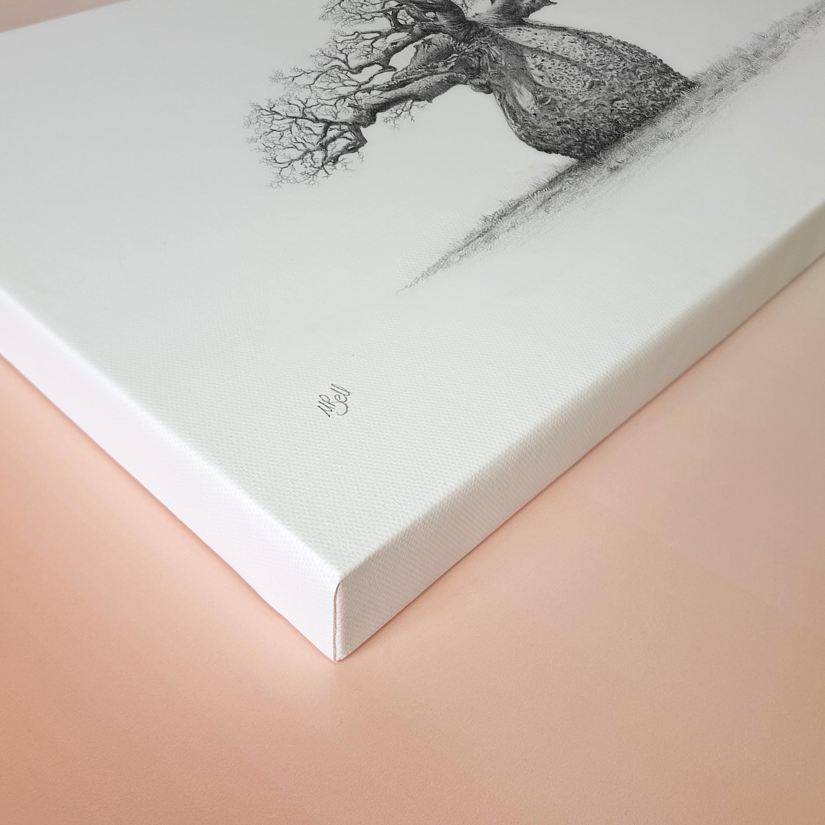 Fat round African baobab tree canvas art print