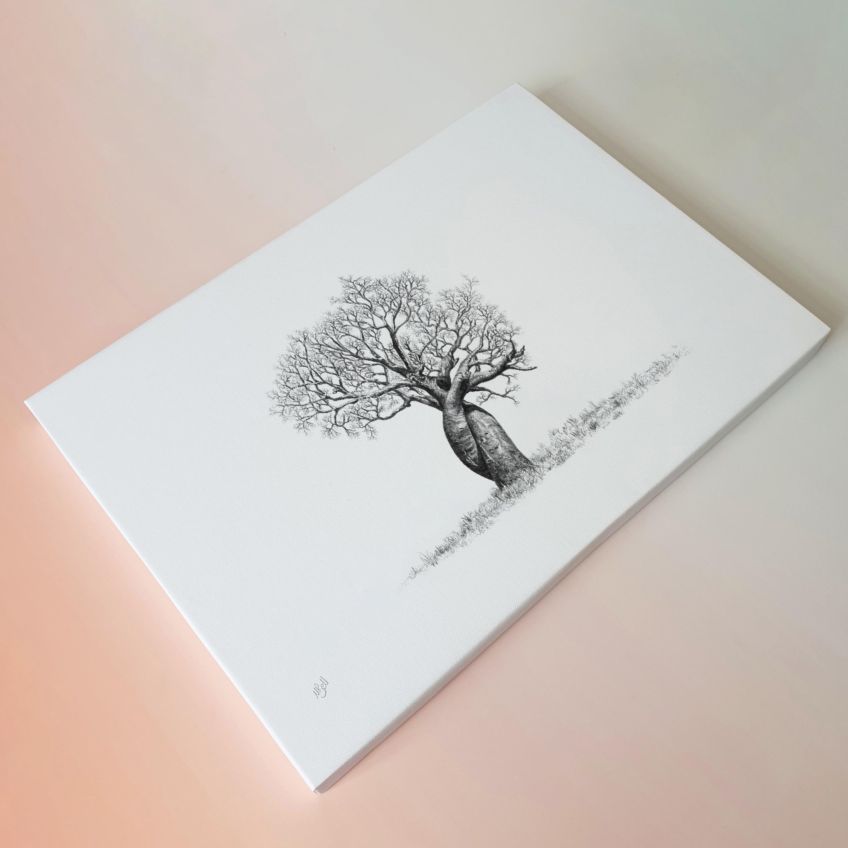 African Baobab Tree with twisted trunks on canvas art print