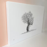 African Baobab Tree with twisted trunks on canvas art print