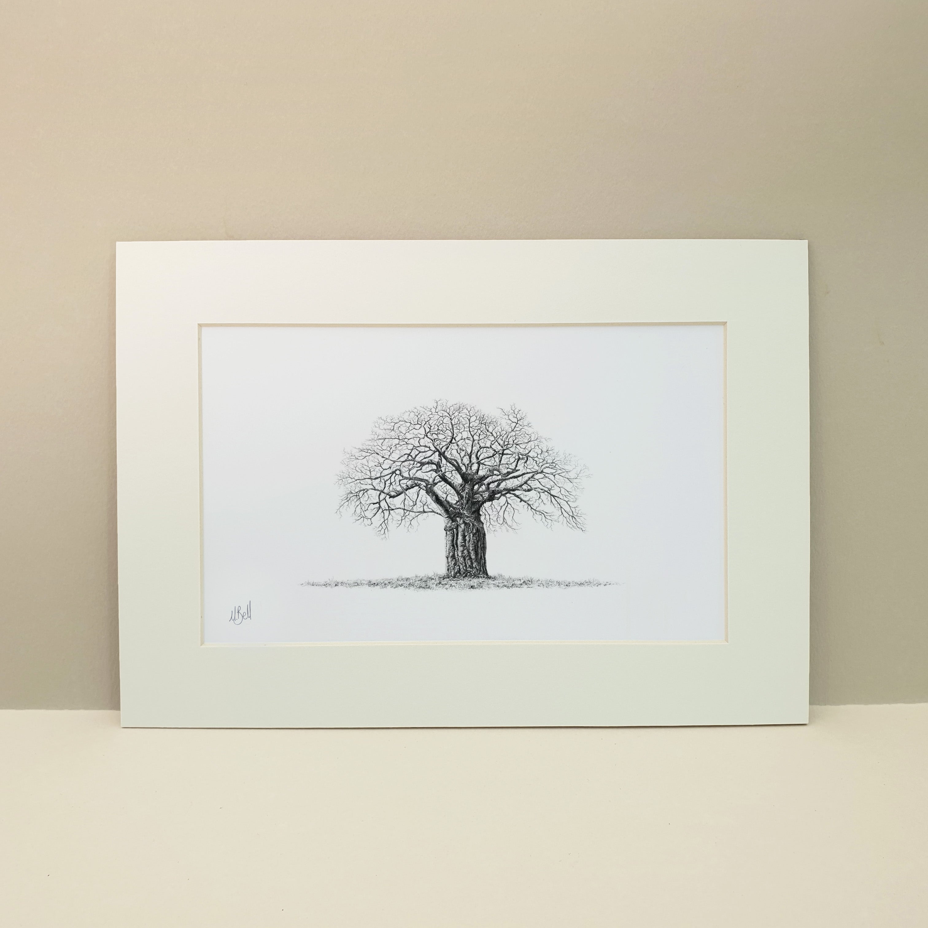 African Baobab Tree pencil artwork