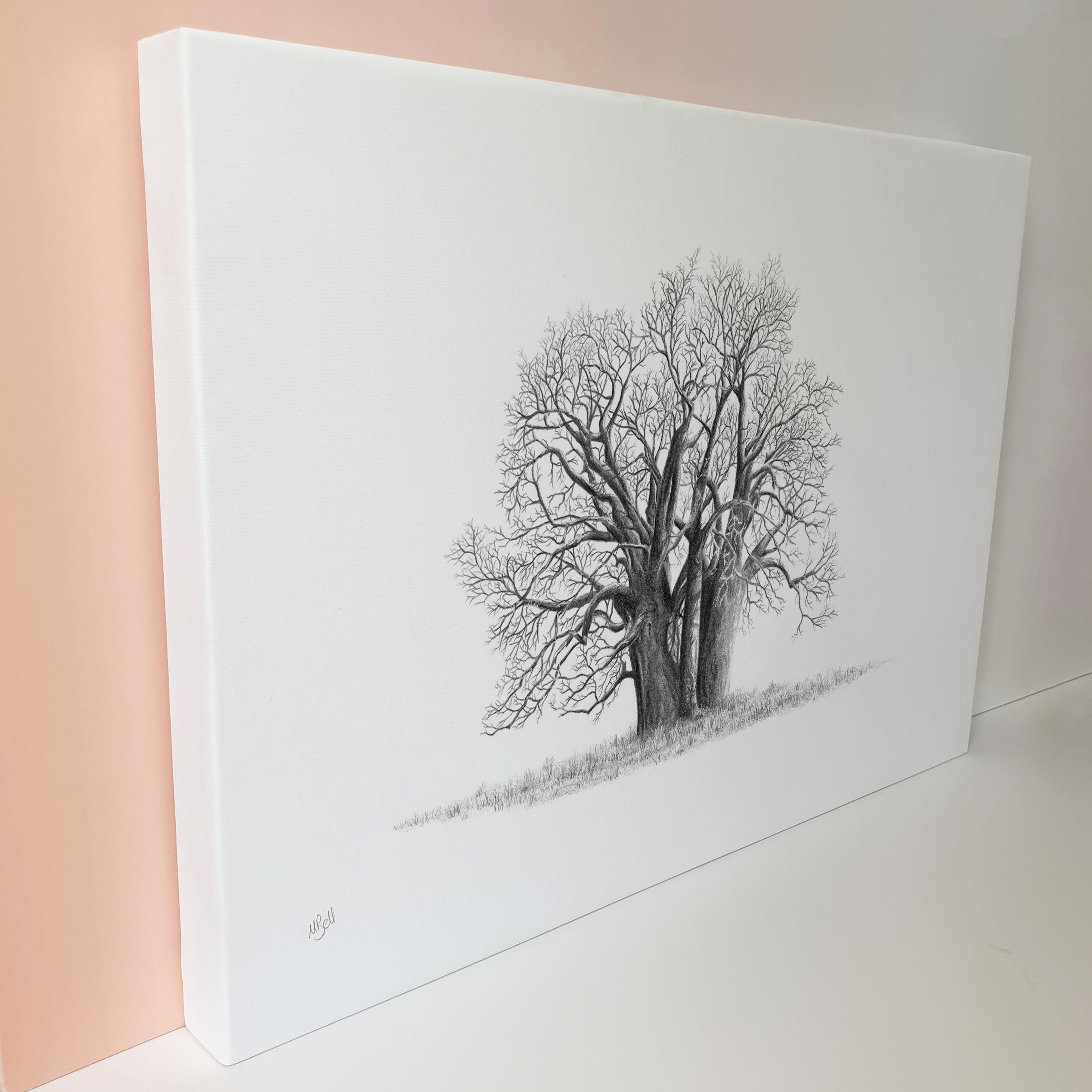 African Baobab Tree canvas art print