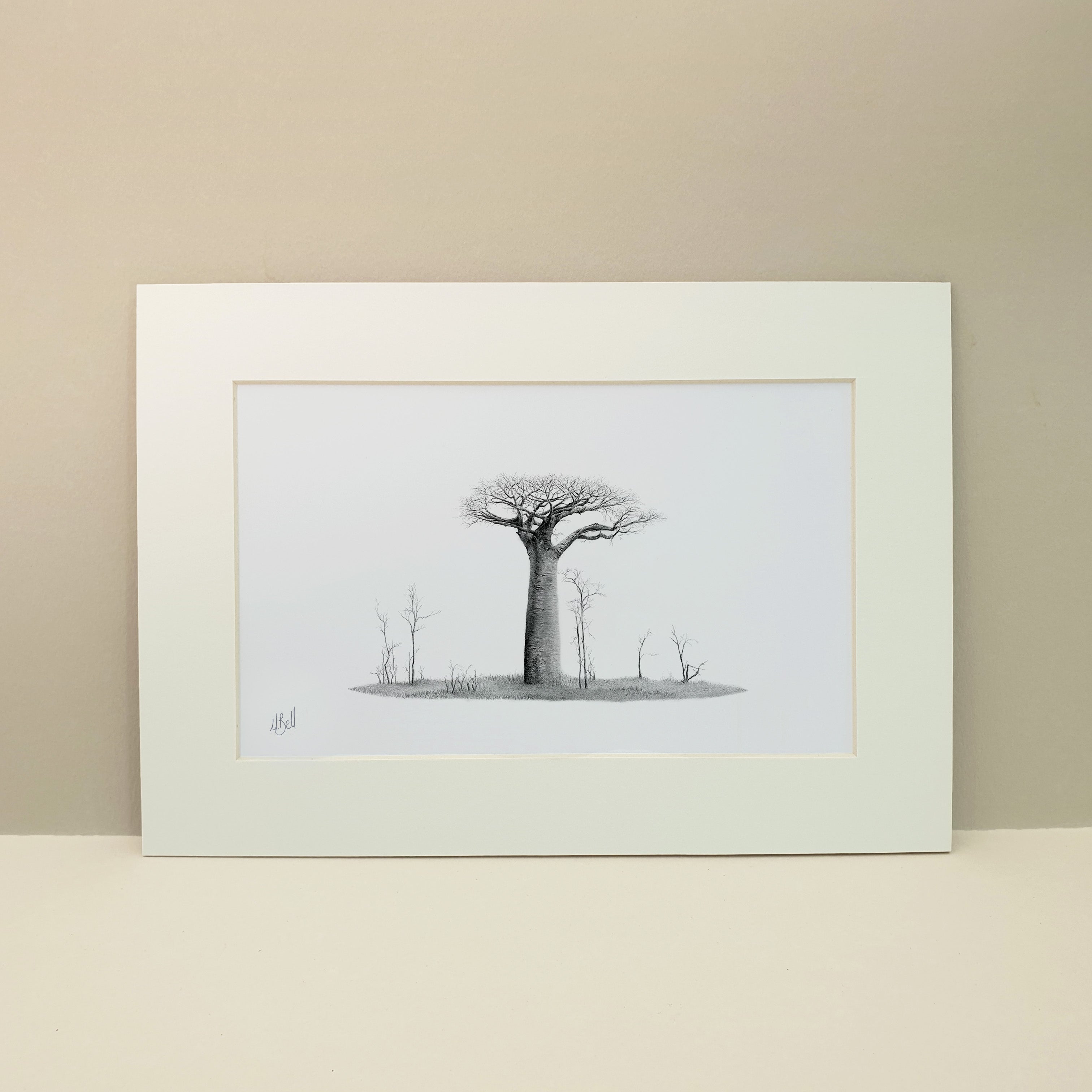 Black and white pencil artwork of an African Baobab Tree