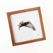 Kiaat wood framed miniature artwork of a Bateleur Eagle, part of wildlife artist Matthew Bell's birds of South Africa gallery