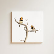 Black Collared Barbets drawing on canvas by South African wildlife artist Matthew Bell