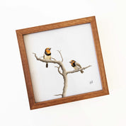 Kiaat wood framed miniature artwork of a Black Collared Barbets, part of wildlife artist Matthew Bell's birds of South Africa gallery