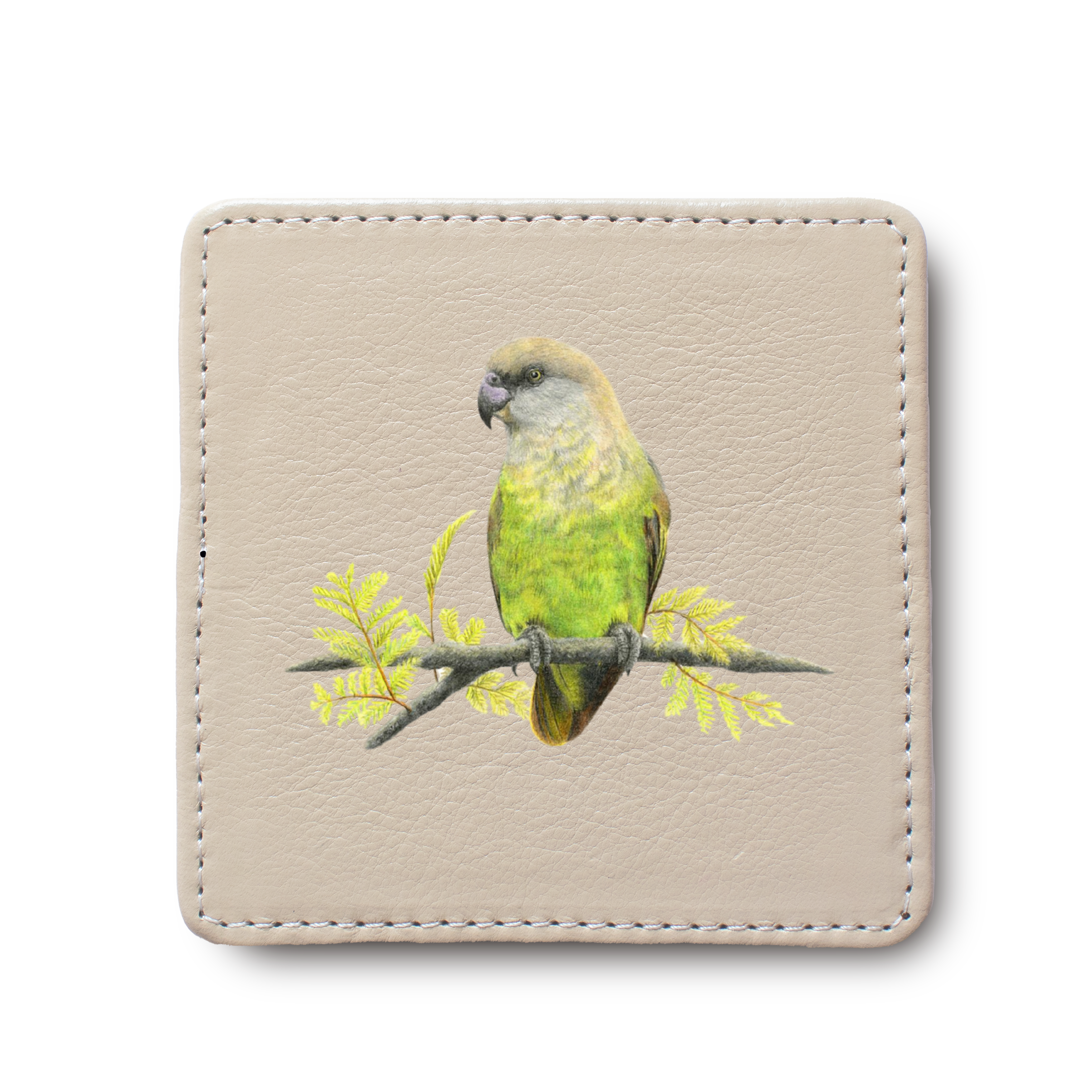 Brown Headed Parrot Bird leather coaster by South African wildlife artist Matthew Bell