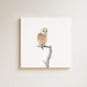 Barn Owl drawing on canvas by South African wildlife artist Matthew Bell