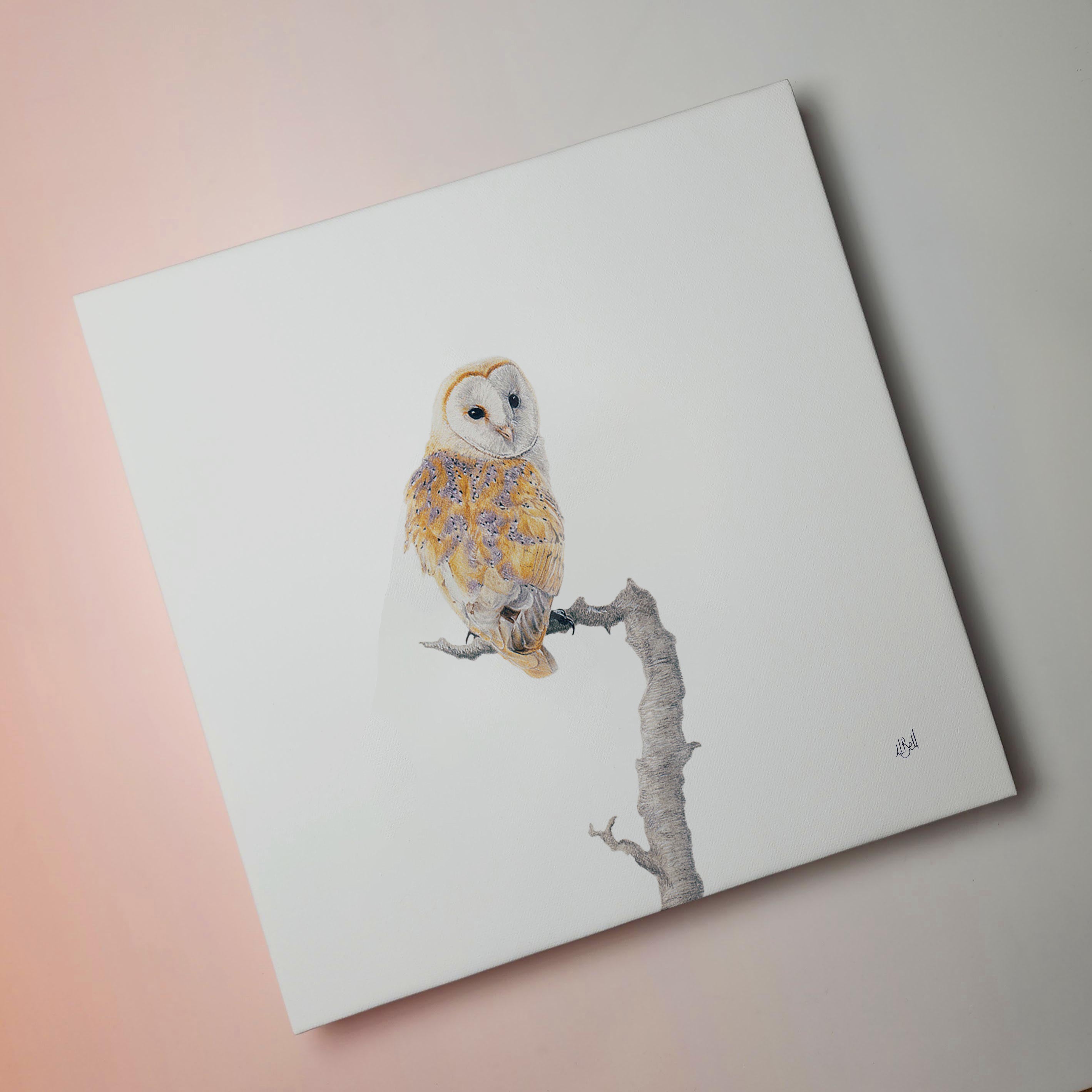 South African bird artwork on canvas, stretched on wooden frame by wildlife artist Matthew Bell of a Barn Owl in the Kruger National Park